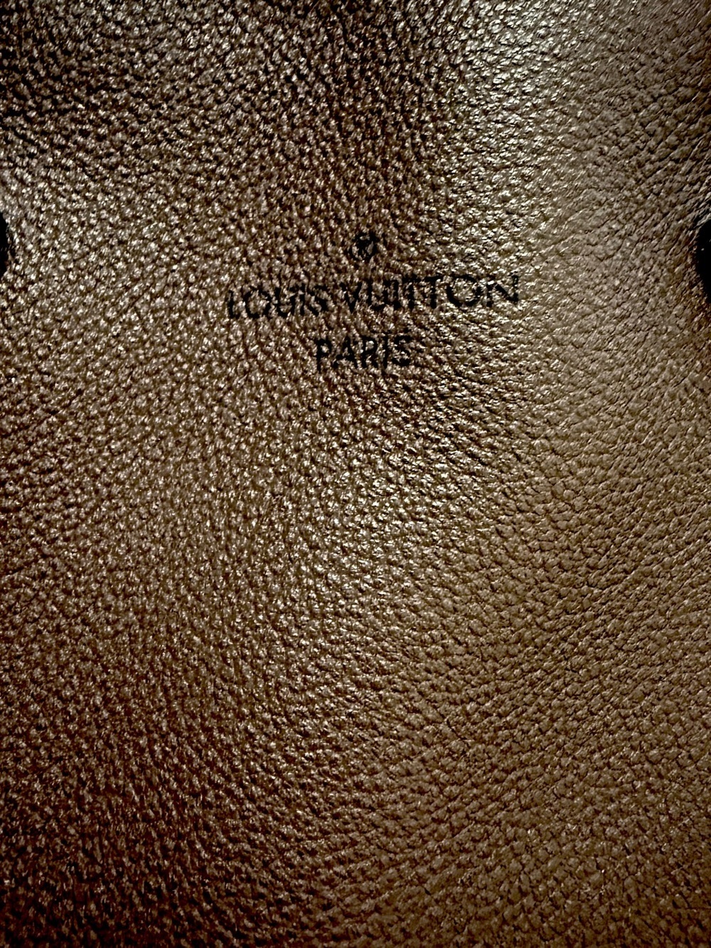 Louis Vuitton “W” Handbag | Chocolate Calfskin & Monogram Canvas | Authentic - Picture 6 of 14